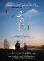 丫丫在线观看免费全集电视剧
